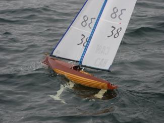 Martin Herbert's ZOCCOLO