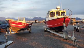 Great Alaskan - Standard - Built by Dan B. of Homer, Alaska