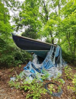 1920 Herreshoff S Boat in need of restoration , port side bow view