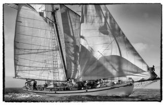 DIRIGO II, 2015 AMERICA's Schooner Cup Regatta. Photo by Darrall Slater ©Bayshots.com