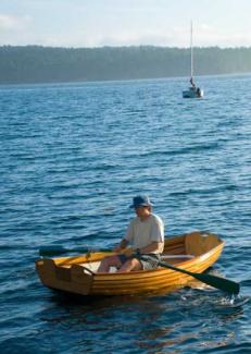 Coot rowing to sailboat