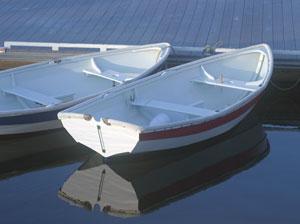 Shellback Rowing Kit photo