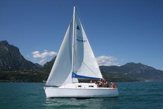 Petrel 28