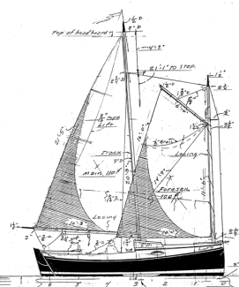 19' Cat Schooner profile