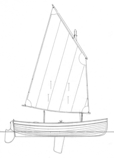 Guillemot profile