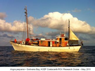 Angra Pequena ROV Coelacanth survey