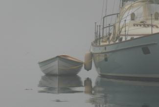 In fog with La Vie en Rose