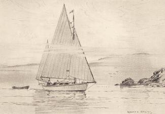 SHEILA pictured by Robert Groves
