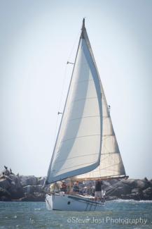 Finishing the race 2024