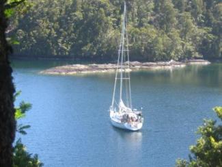 Pickersgill Harbour, Dusky Sound, South Island, New Zealand