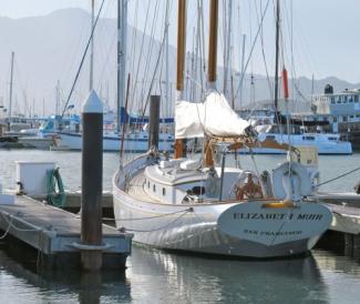 ELIZABETH MUIR, 49' 6" Eastward schooner (Kees Prins photo)