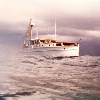 While diving in the Bahamas