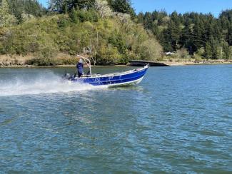 Blue Clover - Yaquina River