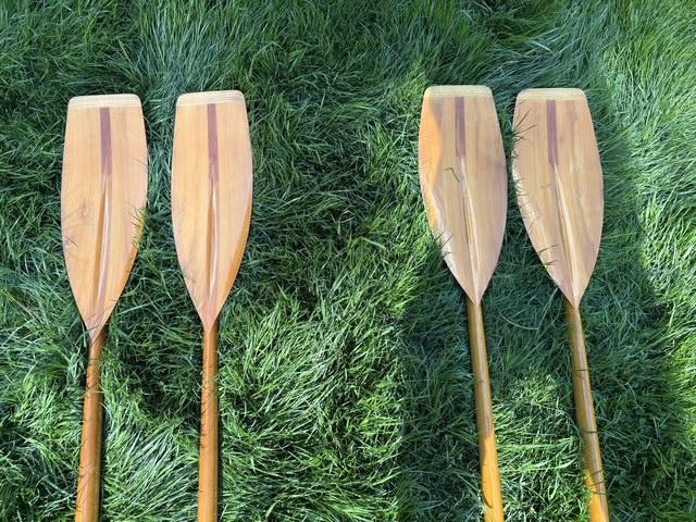 Classic Staempfli Single Scull--1976