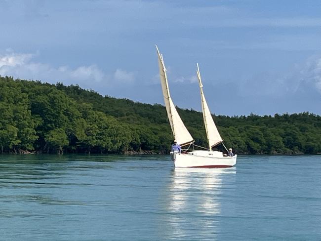 "Egret" Munroe style Sharpie 1981 , undersail, port side view