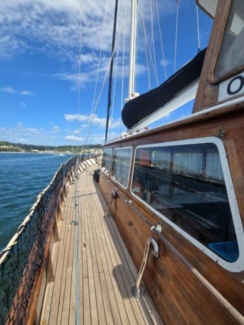 66' 1966 Custom 66 For Sale, on deck