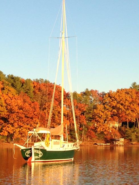 Silk Purse, view of stern starboard side in water
