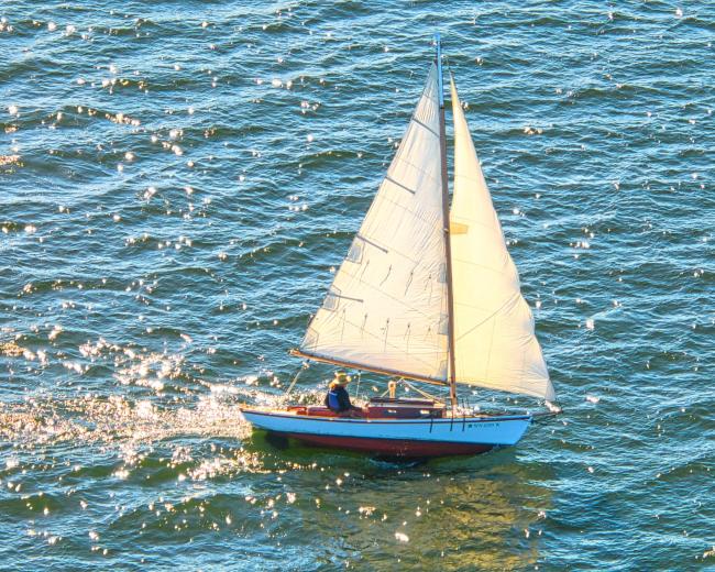 Ed Monk Sloop, undersail, starboard side view