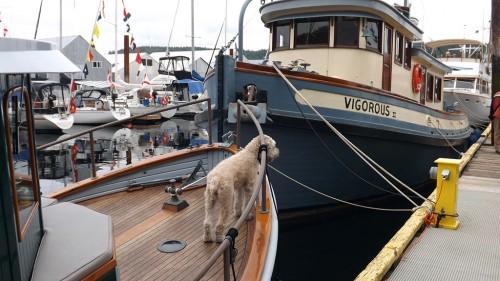 Ladysmith Heritage Boat Festival 