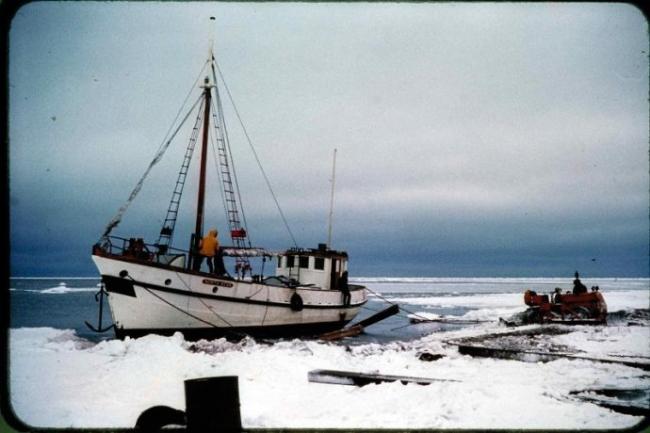 NORTH STAR of Herschel Island