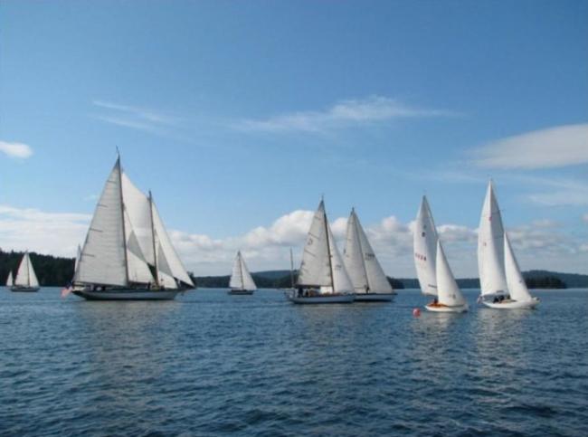 Yellow Island Wooden Boat Regatta photo