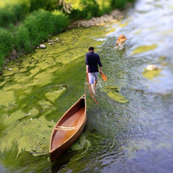 Solo Canoe for Cedar Strip Construction - From Ashes Still Water boats.