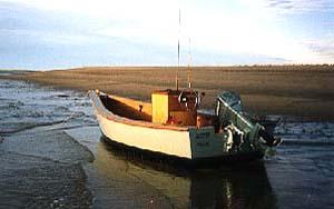 Lumber Yard Skiff