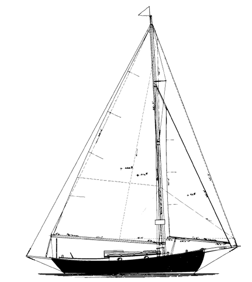 24' 6"  Sloop,  TYPHOON profile