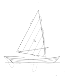 Stickleback Dory (Amberjack) profile