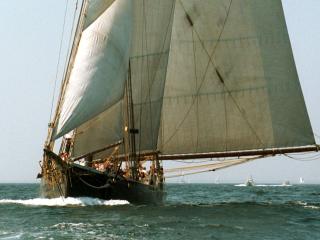 The schooner ERNESTINA