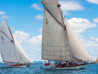 THELMA leads RAWHITI