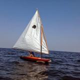  Alcort Sunfish