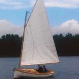 DON GATO under sail