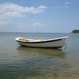 12-Too awaits her owner at a Virginian Beach