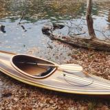 Wood Duck Hybrid