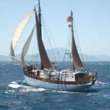 1928 Danish built 82’ Ketch “Pax Nostrum” Project, undersail port stern view