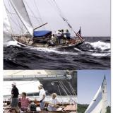 Racing in San Diego- Branta is Fast!