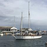 1985 Classic Gaff Rigged Schooner Wilhelm H. Starck