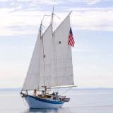 BLUE STARR, a William Garden Walloon schooner.