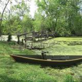 Cypress Pirogue