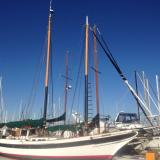 SEA RAVEN, a schooner version of William Garden's Porpoise design.