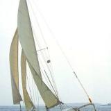MIMI ROSE was built by Gordon Swift and Bill Page.