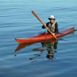 Shearwater 16