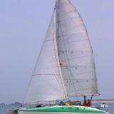 Vik 105