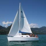 Petrel 28