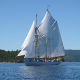 ALCYONE, Frank Prothero schooner