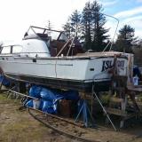 ISLANDER, a Tollycraft Explorer