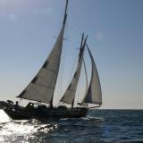 In Buzzards Bay
