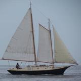 BLACK PEARL, an Atkin Little Maid of Kent schooner