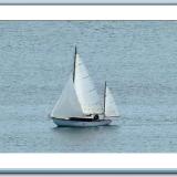 TRILLIUM ex-SYLVIA is a Taylor 25 built in 1939.